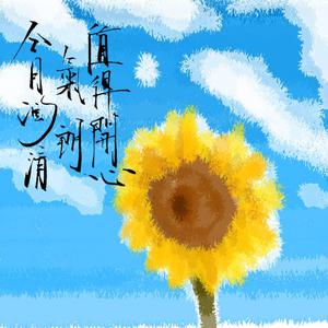 日韩一级午夜一级A片
